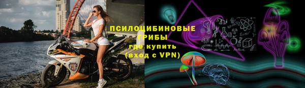 твердый Арсеньев