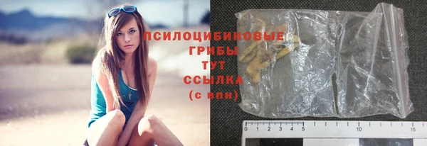 твердый Арсеньев