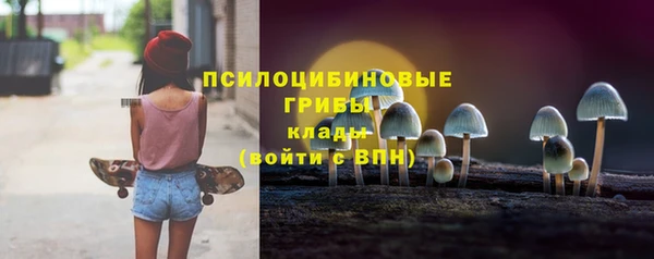 твердый Арсеньев