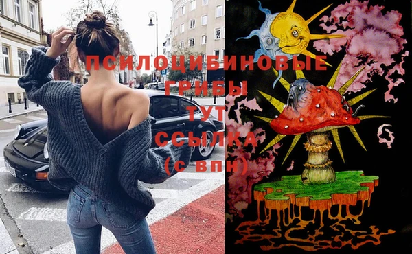 твердый Арсеньев