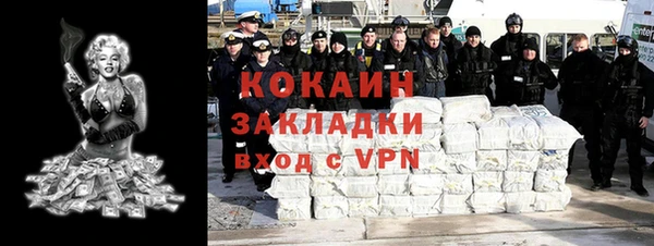 твердый Арсеньев